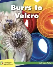 Burrs to Velcro