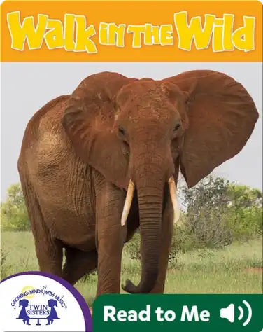 Walk In The Wild book