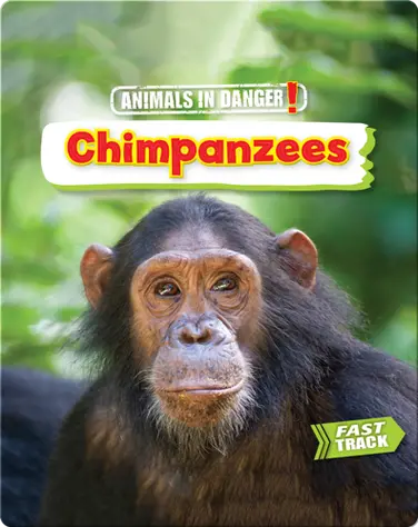 Animals in Danger: Chimpanzees book