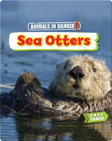 Animals in Danger: Sea Otters book