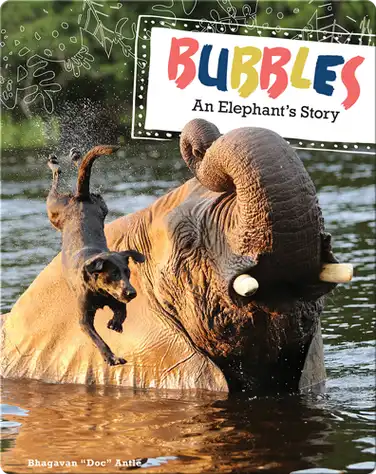 Bubbles book