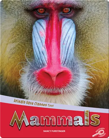 Animals Have Classes Too!: Mammals book