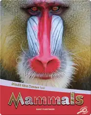 Animals Have Classes Too!: Mammals