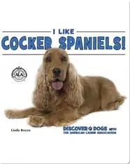 I Like Cocker Spaniels!