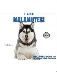 I Like Malamutes!