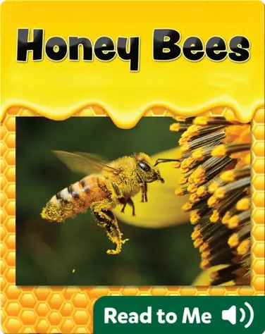 Honey Bees book