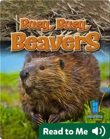 Busy, Busy, Beavers book