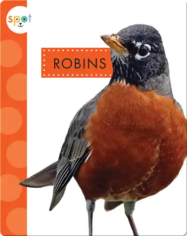 Backyard Animals: Robins book