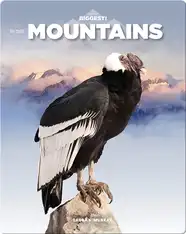 In The Mountains