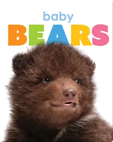 Starting Out: Baby Bears book