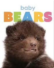 Starting Out: Baby Bears