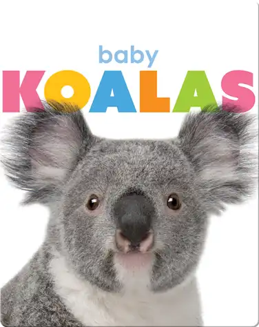 Starting Out: Baby Koalas book