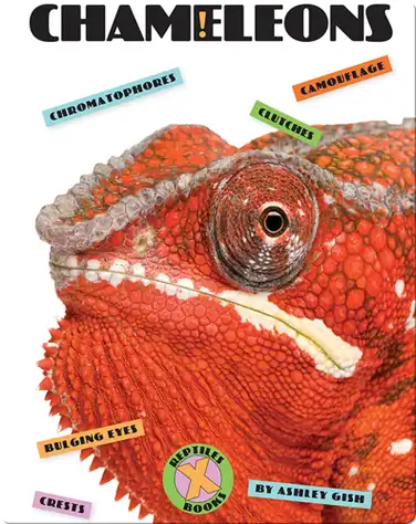 Chameleons book