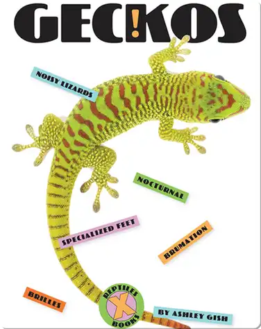 Geckos book