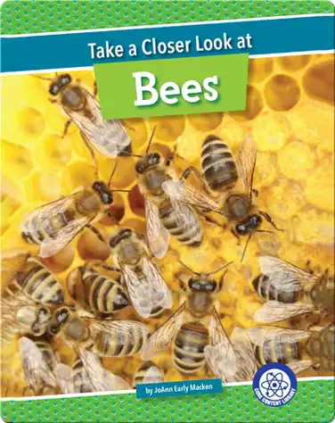 Take a Closer Look at Bees book