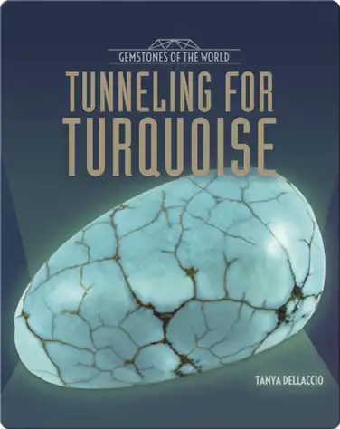 Tunneling for Turquoise book
