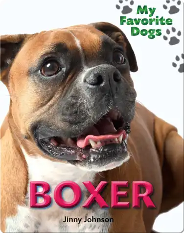 Boxer book