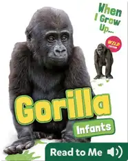 Gorilla Infants