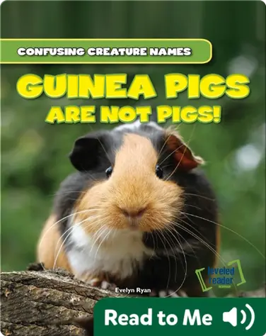 Guinea Pigs Are Not Pigs! book
