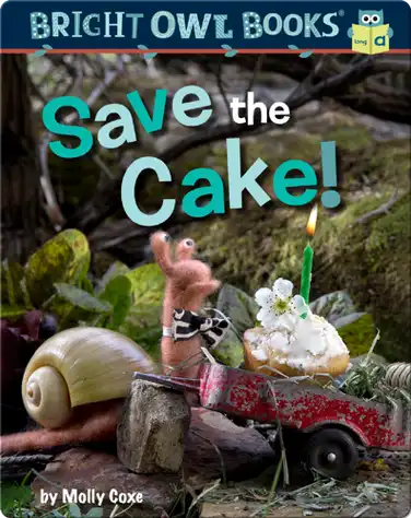 Save the Cake book