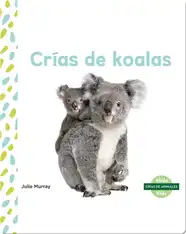Crías de koalas