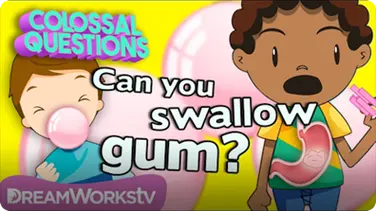 What REALLY Happens If You Swallow Gum? | COLOSSAL QUESTIONS book