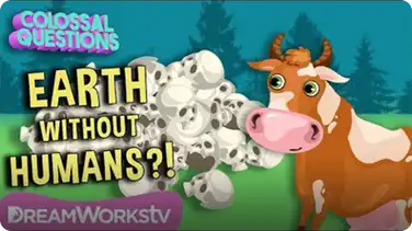 What Would Happen if Humans Disappeared? | COLOSSAL QUESTIONS book