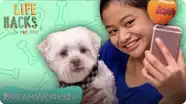 Dog Selfie Stick + Other Shaggy Hacks | LIFE HACKS FOR KIDS