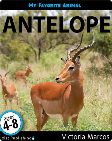 My Favorite Animal: Antelope book