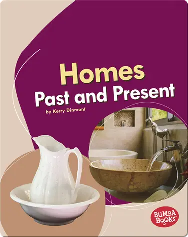Homes Past and Present book