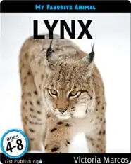 My Favorite Animal: Lynx