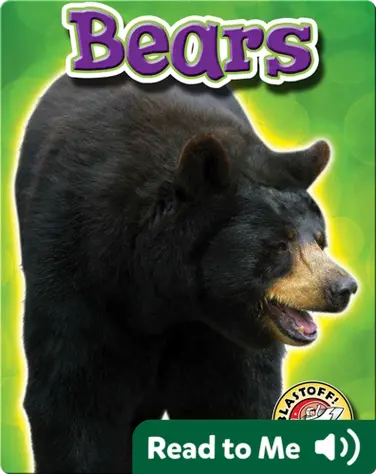 Bears: Backyard Wildlife book