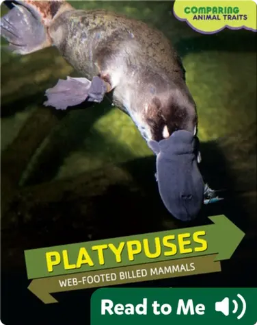 Platypuses: Web-Footed Billed Mammals book