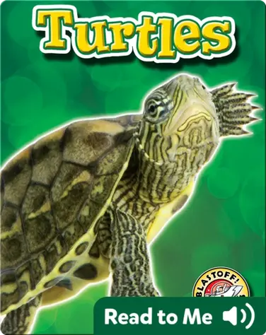 Turtles: Backyard Wildlife book