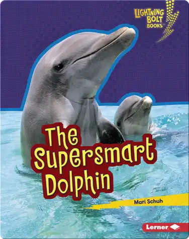 The Supersmart Dolphin book