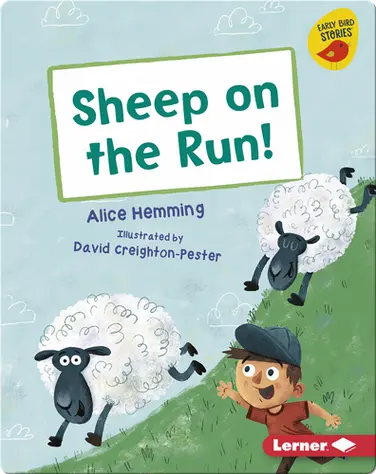 Sheep on the Run! book