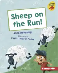 Sheep on the Run!