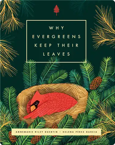 Why Evergreens Keep Their Leaves book