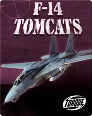 F-14 Tomcats