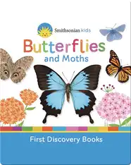 Butterflies and Moths