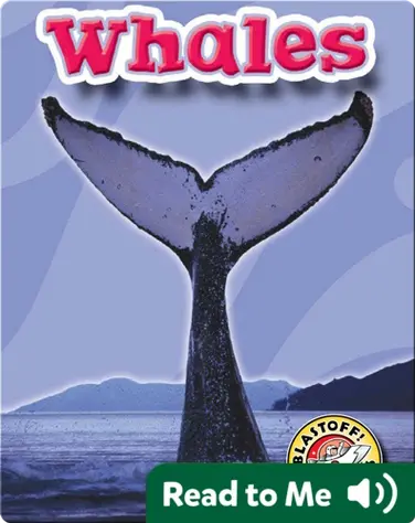 Whales: Oceans Alive book
