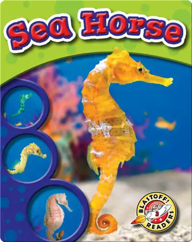 The Life Cycle of a Sea Horse book