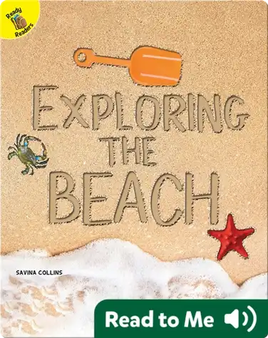 Exploring the Beach book