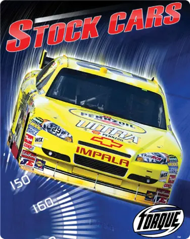 Stock Cars book