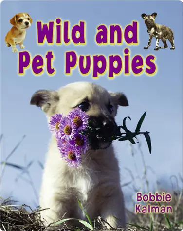 Wild and Pet Puppies book