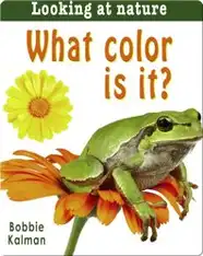 What color is it?