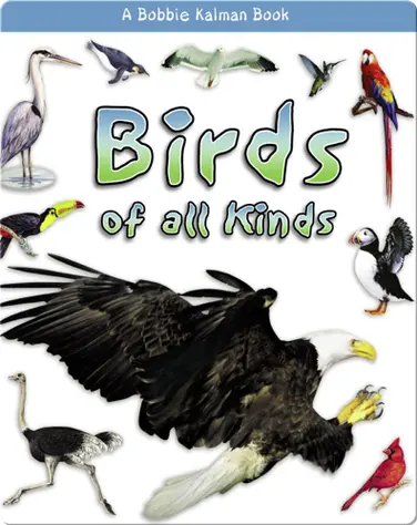Birds of all Kinds book
