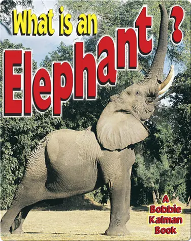 What is an Elephant? book
