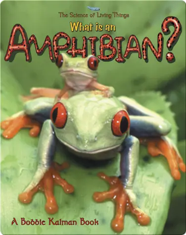 What is an Amphibian? book