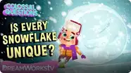 Is Every Snowflake Unique? | COLOSSAL QUESTIONS